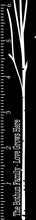 Family Growth Charts