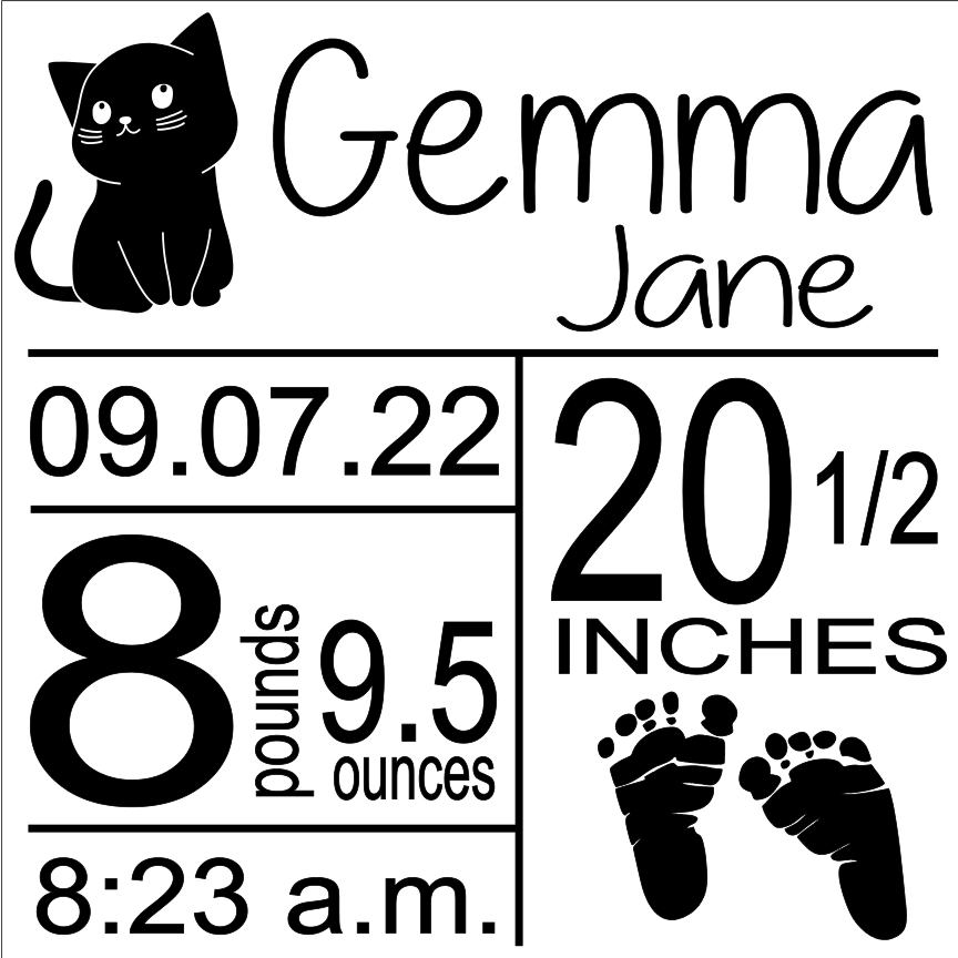 Birth Announcement Pallet Sign