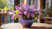 Fresh Seasonal Bouquets - Free Local Delivery