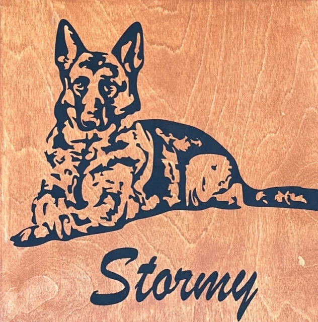 Pet Portraits