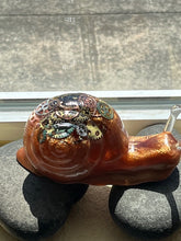 Resin Pour Sea Turtles & More