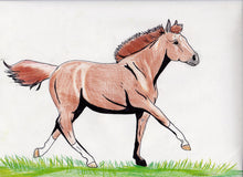 HOMESCHOOL ART HUB - WEEKLY ART CLASS REGISTRATION